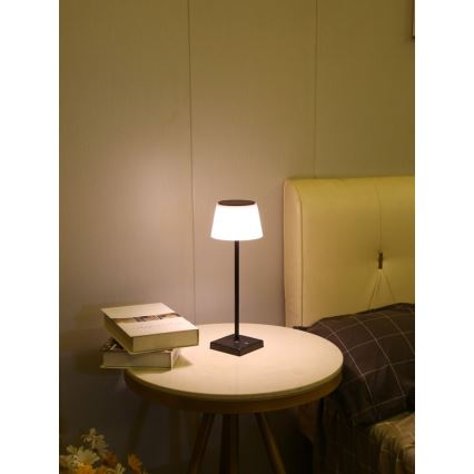 LED з регулюванням яскравості вулична сонячна лампа з датчиком LED/4W/5V IP44