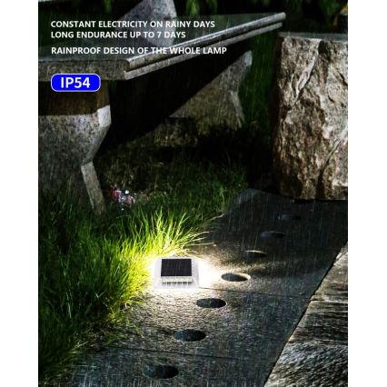 Світлодіодне зовнішнє сонячне освітлення з датчиком LED/0,03 Вт/1,2 В IP54 800 мАг