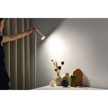 LED Торшер з регулюванням яскравості TIT LED/6W/230V білий