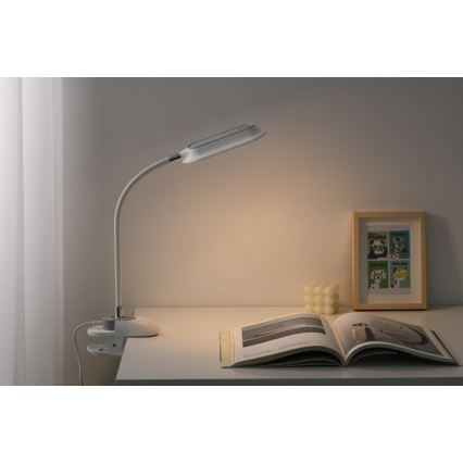 LED+CCT диммируемая настольная лампа с зажимом CLIP LED/7,5W/230V 3000/4200/5000K белая