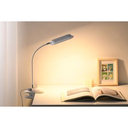 LED+CCT диммируемая настольная лампа с зажимом CLIP LED/7,5W/230V 3000/4200/5000K белая