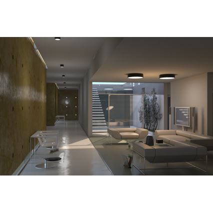 Immax NEO 07023L-15 - LED Димерний світильник RONDATE LED/12W/230V чорна Tuya