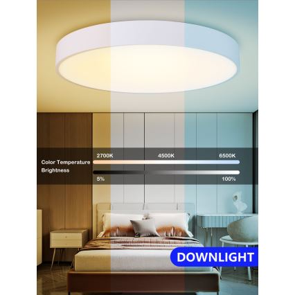 Immax NEO 07028L - Стельовий LED світильник з регулюванням яскравості RONDATE LED/65W/230V + ДК Tuya
