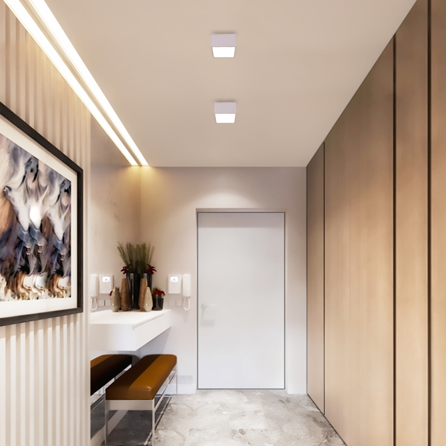 Immax NEO 07072L-15 - LED Димерний світильник CANTO LED/12W/230V біла Tuya