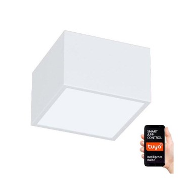 Immax NEO 07072L-15 - LED Димерний світильник CANTO LED/12W/230V біла Tuya