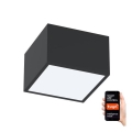 Immax NEO 07074L-15 - Светодиодный светильник с регулированием яркости CANTO LED/12W/230V черный Tuya