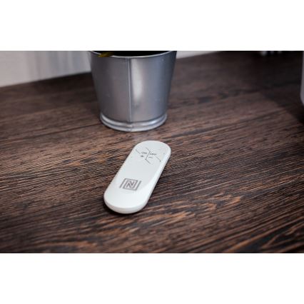 Immax NEO  Пульт ДУ v2 2xAAA Zigbee 3.0