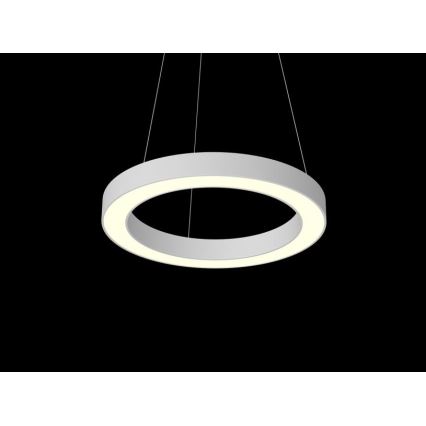 Immax NEO 07091L - Светодиодная регулируемая люстра на тросе PASTEL LED/52W/230V 60 см белая Tuya + дистанционное управление