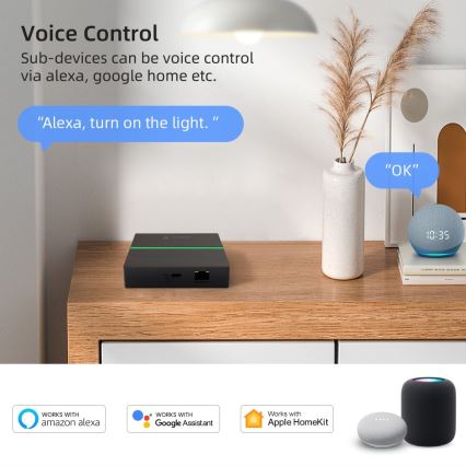 Immax NEO 07117-5 - Розумний шлюз MATTER, Zigbee 3.0, 230 В, сумісний із Tuya та Wi‑Fi
