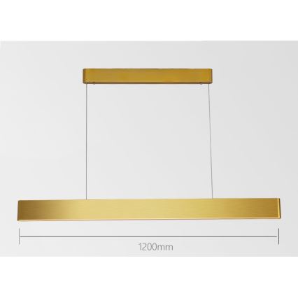 Immax NEO 07157-G120X - Светодиодная подвесная RGB+CCTW люстра с регулированием яркости MILANO LED/40W/230V Tuya золотистый
