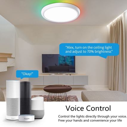 Immax NEO 07164-40 - Светодиодный RGB+CCT регулируемый потолочный светильник NEO LITE TUDO LED/50W/230V Wi-Fi Tuya + пульт дистанционного управления