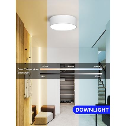 Immax NEO 07204L - Светодиодный потолочный светильник с регулированием яркости RONDATE LED/18W/230V 3000-6000K белый Tuya + дистанционное управление