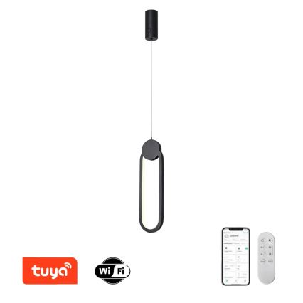 Immax NEO 07232L - Светодиодная подвесная люстра с регулированием яркости NEO LITE OVALE LED/22W/230V 2700-6500K Wi-Fi Tuya + дистанционное управление