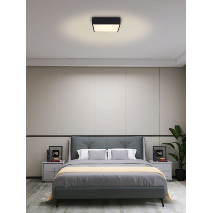 Immax NEO 07237L - Светодиодный регулируемый потолочный светильник CANTO LED/22W/230V черный Tuya + дистанционное управление