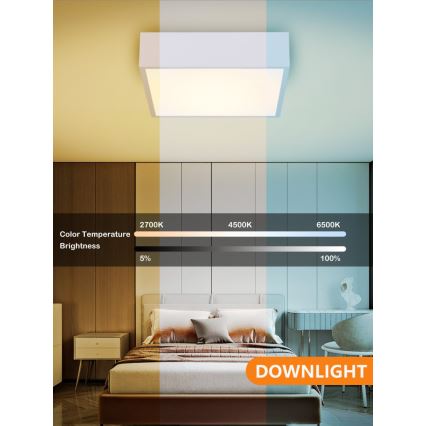 Immax NEO 07238L - Світлодіодний димований стельовий світильник CANTO LED/22W/230V білий Tuya + дистанційне керування