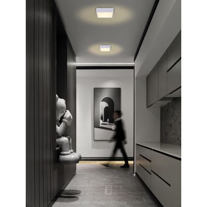 Immax NEO 07238L - Светодиодный потолочный светильник с регулированием яркости CANTO LED/22W/230V белый Tuya + дистанционное управление