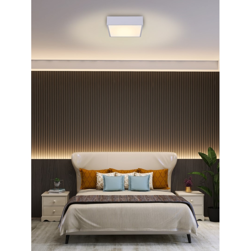 Immax NEO 07238L - Светодиодный потолочный светильник с регулированием яркости CANTO LED/22W/230V белый Tuya + дистанционное управление
