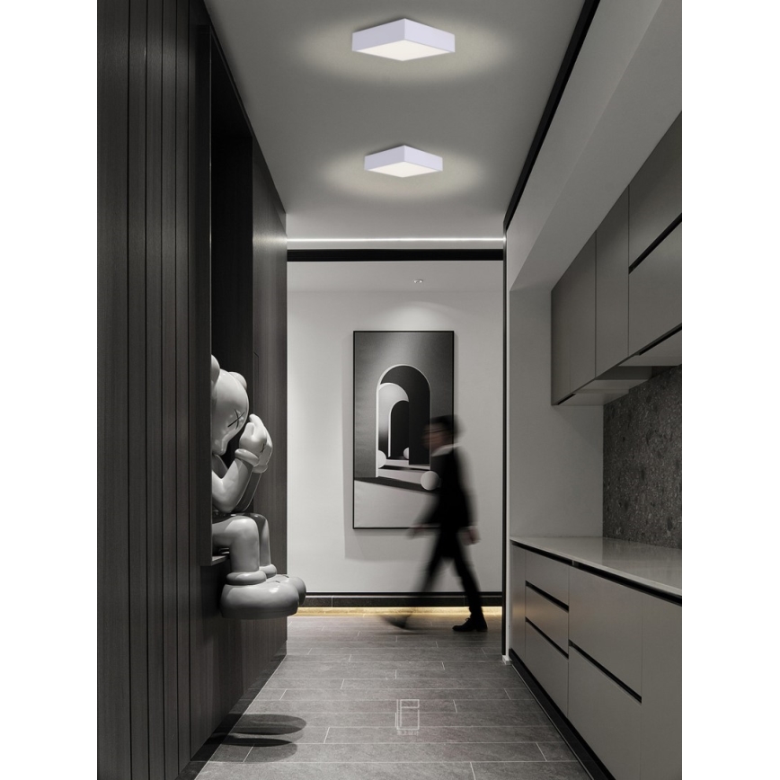 Immax NEO 07238L - Светодиодный потолочный светильник с регулированием яркости CANTO LED/22W/230V белый Tuya + дистанционное управление