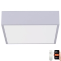 Immax NEO 07238L - Світлодіодний димований стельовий світильник CANTO LED/22W/230V білий Tuya + дистанційне керування