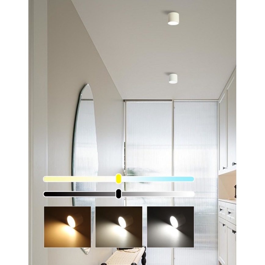 Immax NEO 07241L - Светодиодный потолочный светильник с регулированием яркости RONDATE LED/18W/230V 11,5 см Wi-Fi Tuya