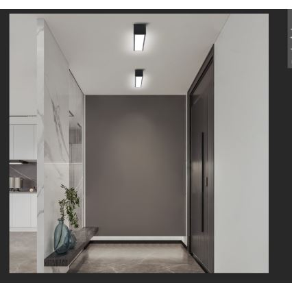 Immax NEO 07254L - Светодиодный потолочный светильник с регулированием яркости NEO LITE LUNGO LED/20W/230V 3000-6000K Wi-Fi Tuya черный + дистанционное управление