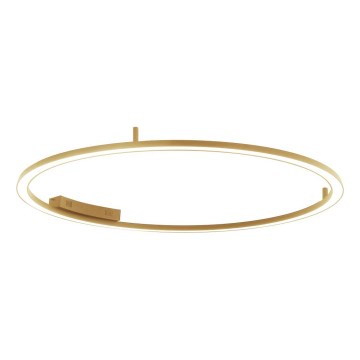 Immax NEO 07290-120G - LED+CCT Диммируемый потолочный светильник FINO LED/55 Вт/230 В 2700–6500 К Tuya диаметр 120 см + пульт дистанционного управления