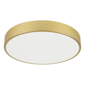 Immax NEO 07292L - диммируемый потолочный светильник LED+CCT SEMPLICI LED/36 Вт/230 В 2700–6500 К Ø 40 см + пульт дистанционного управления
