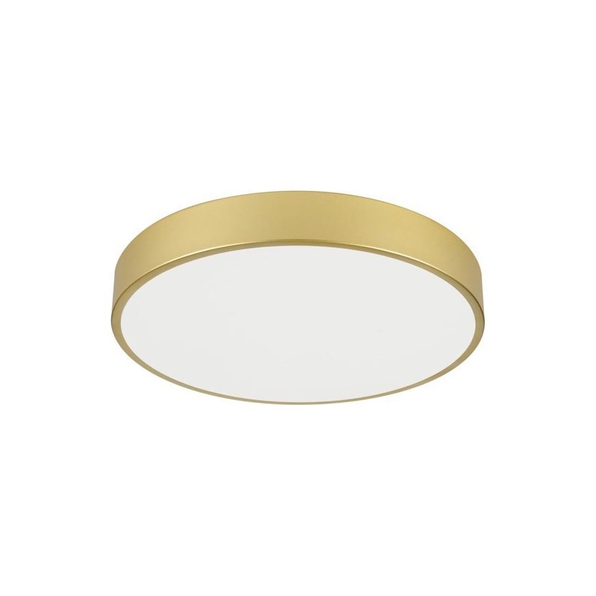 Immax NEO 07292L - диммируемый потолочный светильник NEO LITE SEMPLICI LED/36W/230V 3000-6000K Ø 40 см Wi-Fi Tuya золотой + пульт дистанционного управления
