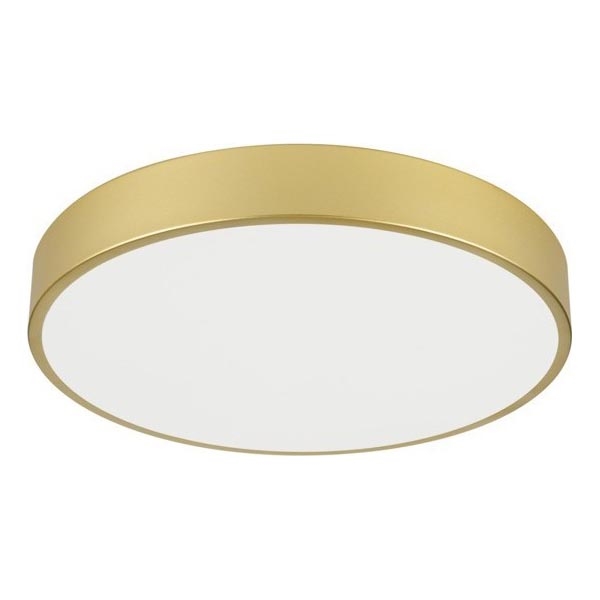 Immax NEO 07292L - LED+CCT Стельовий світильник з регулюванням яскравості SEMPLICI LED/36W/230V 2700-6500K діаметр 40 см + пульт дистанційного керування