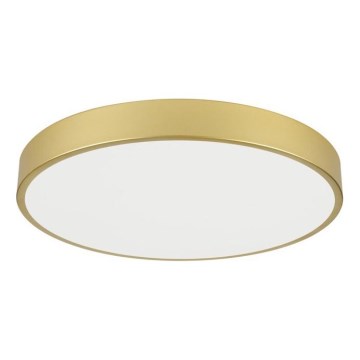 Immax NEO 07293L - LED+CCT Диммируемый потолочный светильник SEMPLICI LED/60W/230V 2700–6500K Ø 60 см + дистанционный пульт