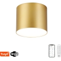 Immax NEO 07317L - димований LED стельовий світильник RONDATE LED/18W/230V, діаметр 11,5 см, Wi‑Fi Tuya, золотий