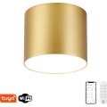 Immax NEO 07318L - диммируемый потолочный светильник RONDATE LED/32 Вт/230 В, диам. 16,5 см, Wi‑Fi Tuya, золотистый