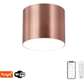 Immax NEO 07319L - Диммируемый светодиодный потолочный светильник RONDATE LED/18W/230V Ø 11,5 см Wi-Fi Tuya розовое золото