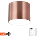 Immax NEO 07320L - Светодиодный диммируемый потолочный светильник RONDATE LED/32W/230V pr. 16,5 cm Wi-Fi Tuya, цвет розовое золото