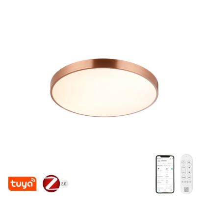 Immax NEO 07322L - LED стельовий світильник з регулюванням яскравості NEO LITE SEMPLICI LED/60W/230V, діаметр 60 см, Tuya, рожеве золото + пульт дистанційного керування