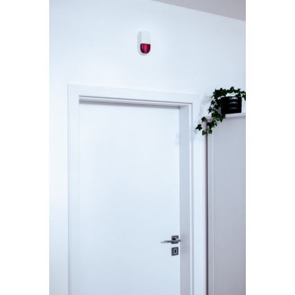 Immax NEO 07504L - Розумна сирена SMART 5V/95dB ZigBee 3.0 IP65 Tuya