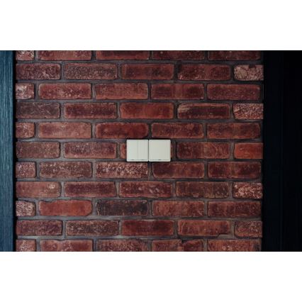 Immax NEO 07507L - Вимикач 2-кнопковий SMART 1xCR2430 Zigbee 3.0 Tuya