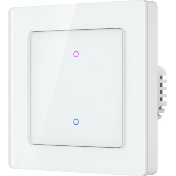 Immax NEO 07550L - 2-клавішний SMART-вимикач 230 В