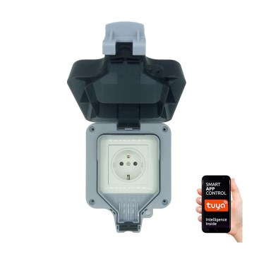 Immax NEO 07708L - Уличная розетка NEO LITE Smart 1x230V IP65 Wi-Fi Tuya