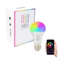 Immax NEO 07743L - Світлодіодна RGB+CCT лампочка з регулюванням яскравості E27/11W/230V 2700-6500K Tuya