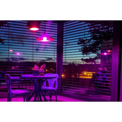 Immax NEO 07745L - диммируемая LED-лампа RGB+CCT E14/6 Вт/230 В 2700-6500K Wi-Fi Tuya