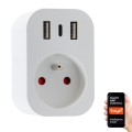 Immax NEO 07772L - Умная распределительная розетка 16A/230V + 2xUSB+1xUSB C Wi-Fi Tuya