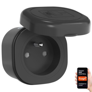 Immax NEO 07774L - Умная уличная розетка NEO LITE 3680 Вт/230 В/16 А IP44 Wi-Fi Tuya