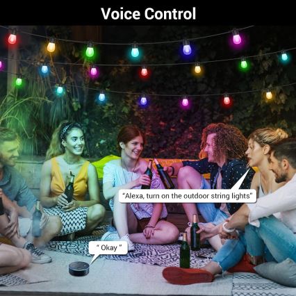 Светодиодная уличная RGB+CCT гирлянда с регулированием яркости GARLAND 15xLED/1W/230V 15 м Wi-Fi Tuya IP65 + дистанционное управление