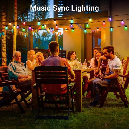 Светодиодная уличная RGB+CCT гирлянда с регулированием яркости GARLAND 15xLED/1W/230V 15 м Wi-Fi Tuya IP65 + дистанционное управление