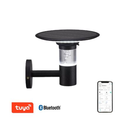 Immax NEO 07907L - Светодиодный настенный RGB+CW/W-светильник на солнечной батарее с регулированием яркости BUBBLES LED/2W/5,5V IP54 Tuya