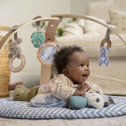 Ingenuity - Дитяча ігрова ковдра ELEPHANT MARCH