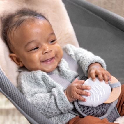 Ingenuity - Дитяче вібруюче лежачко з мелодією EVERY SEASON WESLEY 3xC сірий