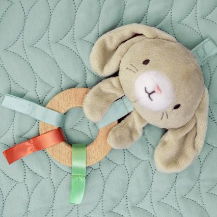 Ingenuity - Дитячий ігровий килимок CALM SPRINGS