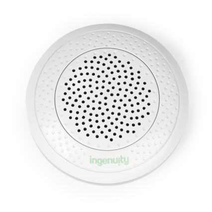 Ingenuity - Плюшева музична іграшка NALLY сова
